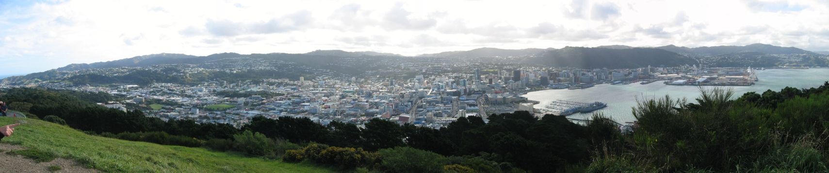 welly merged view